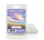 Beautiful Day Wax Melts 64g – Produktansicht