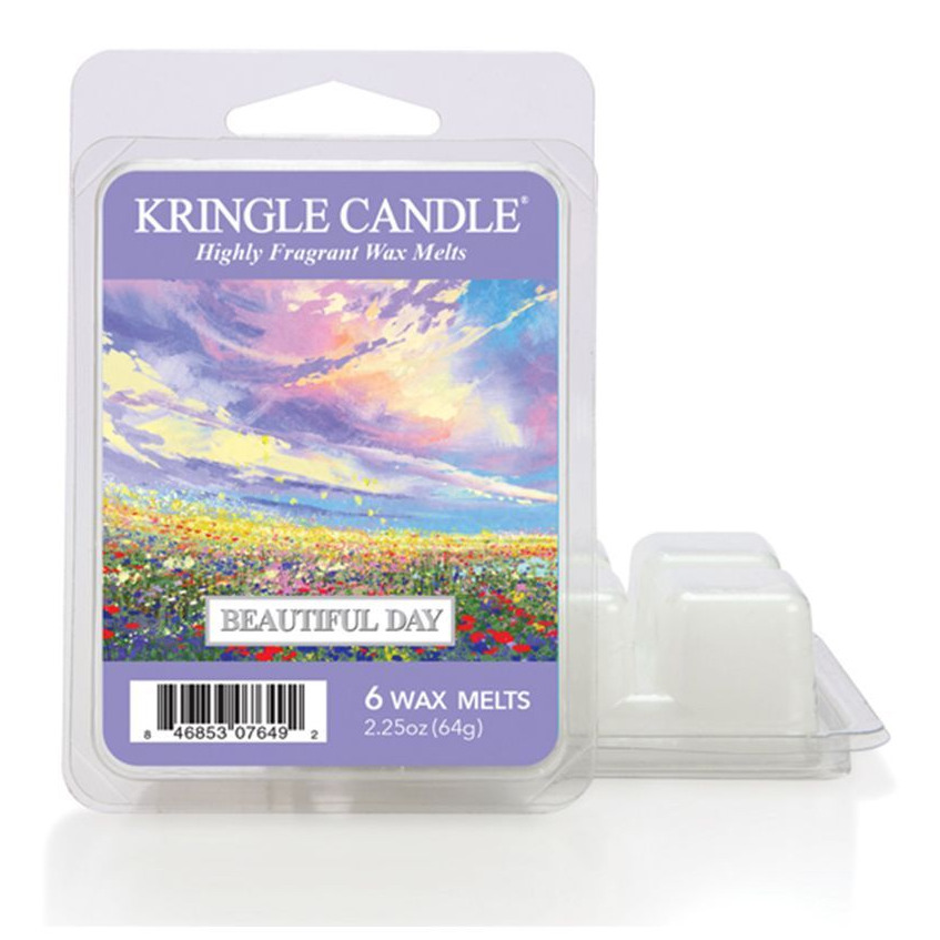 Produktbild Beautiful Day Wax Melts 64g – Hauptansicht