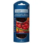 Black Cherry ScentPlug Nachfüllpack – Hauptansicht