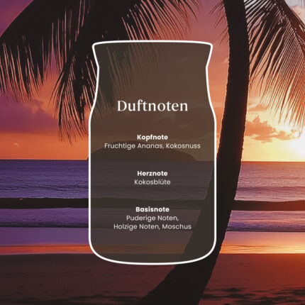 Übersicht der Duftnoten von Black Coconut mit Kopf-, Herz- und Basisnoten