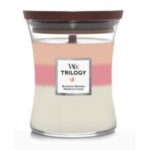 WoodWick Trilogy Kerze im Glas mit dreifarbigem Wachs