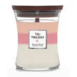 WoodWick Trilogy Kerze im Glas mit dreifarbigem Wachs