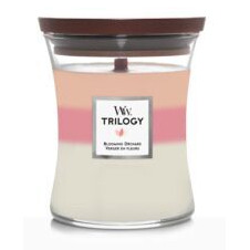 WoodWick Trilogy Kerze im Glas mit dreifarbigem Wachs