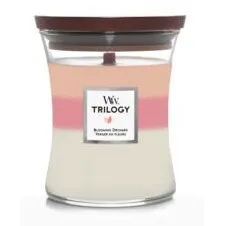 WoodWick Trilogy Kerze im Glas mit dreifarbigem Wachs