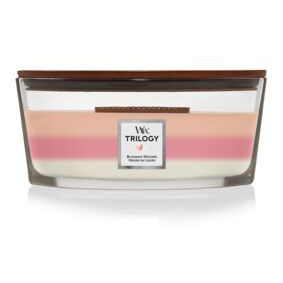 Frontalansicht der WoodWick Trilogy Kerze Blooming Orchard im Glas