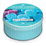Blue Raspberry Daylight 42g – Hauptansicht