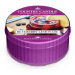 Blueberry Lemonade Daylight 42g – Hauptansicht