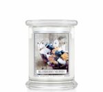 Blueberry Muffin 411g – Produktansicht