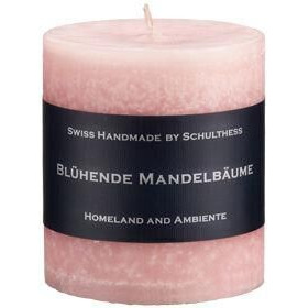 Blühender Mandelbaum 400g – Hauptansicht