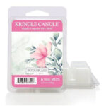 Botanicals Wax Melts 64g – Hauptansicht