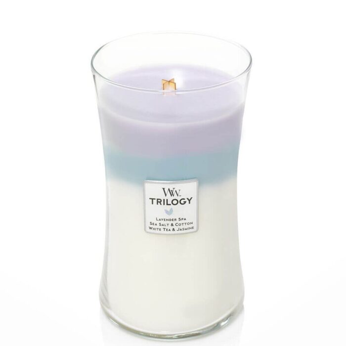 WoodWick Trilogy Kerze im Glas mit sichtbarem Holzdocht