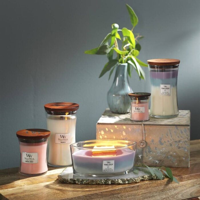 WoodWick Trilogy Kerze neben weiteren brennenden Kerzen und Pflanze