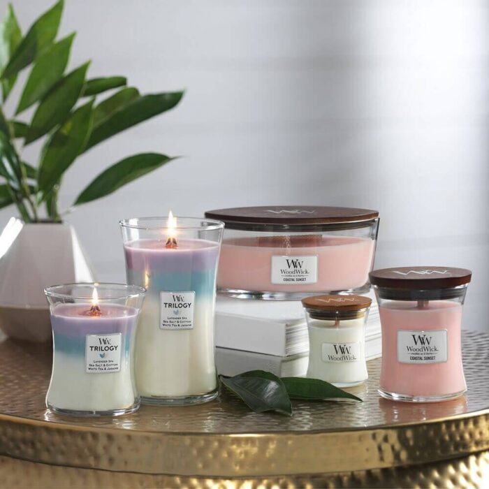 Mehrere WoodWick Kerzen mit brennender Trilogy-Kerze im Vordergrund