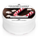 Candy Cane Lane Daylight 42g – Hauptansicht