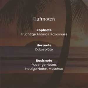 Black Coconut ScentPlug™ Nachfüllpack – Produktansicht