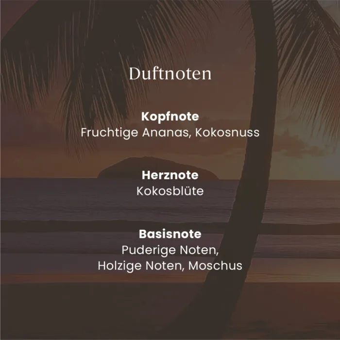Black Coconut ScentPlug™ Nachfüllpack – Produktansicht