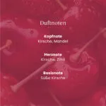 Black Cherry ScentPlug™ Starter Kit – Produktansicht