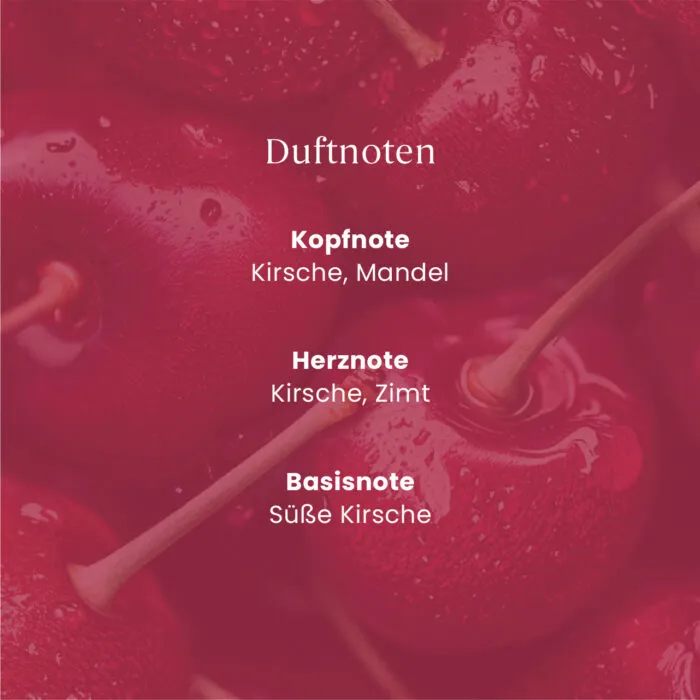 Black Cherry ScentPlug™ Starter Kit – Produktansicht