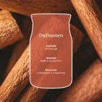 Cinnamon Stick Signature Jar 567g 2-Docht – Produktansicht