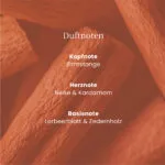 Cinnamon Stick ScentPlug™ Nachfüllpack – Hauptansicht