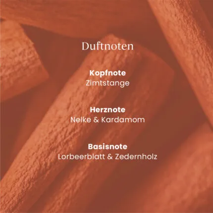 Cinnamon Stick ScentPlug™ Nachfüllpack – Hauptansicht