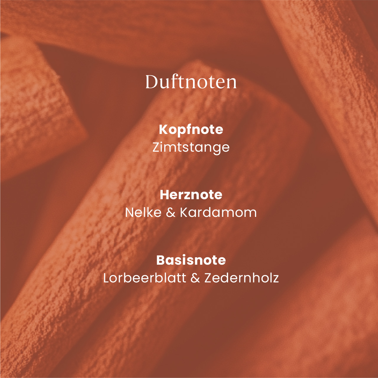 Zimtstange, Kopfnote, Herznote, Basisnote, Orangenschattiert Cinnamon Stick ScentPlug™ Nachfüllpack – Hauptansicht