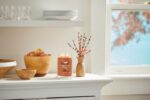 Cinnamon Stick Signature Jar 567g 2-Docht – Produktansicht