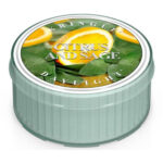 Citrus & Sage Daylight 42g – Hauptansicht