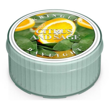Citrus & Sage Daylight 42g – Hauptansicht