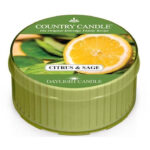 Citrus & Sage Daylight 42g – Produktansicht