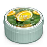 Citrus & Sage Daylight 42g – Produktansicht