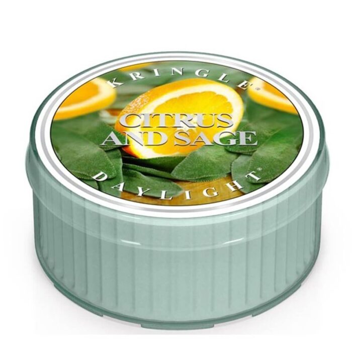 Citrus & Sage Daylight 42g – Produktansicht