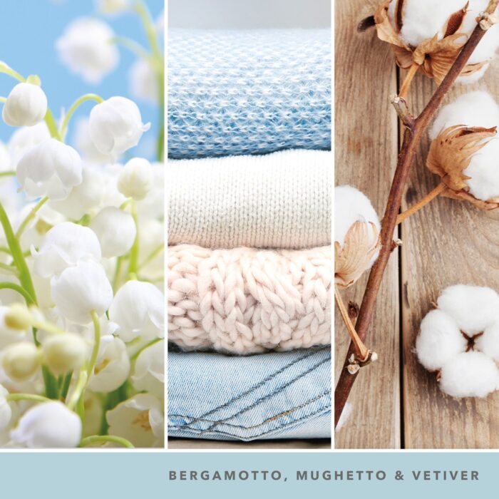 Clean Cotton Signature Medium Jar 368g 2-Docht – Produktansicht