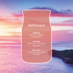 Grafik mit Duftnoten von Cliffside Sunrise vor Küstenlandschaft