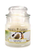 Coconut 100g – Produktansicht