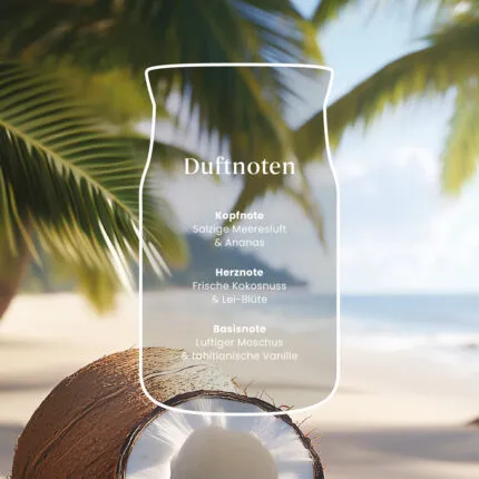 Coconut Beach Signature Large Jar 567g 2-Docht – Produktansicht