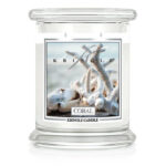 Coral 411g – Hauptansicht