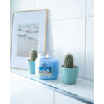 Cotton Powder 100g – Produktansicht