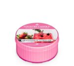 Dragonfruit Lemonade Daylight 42g – Produktansicht