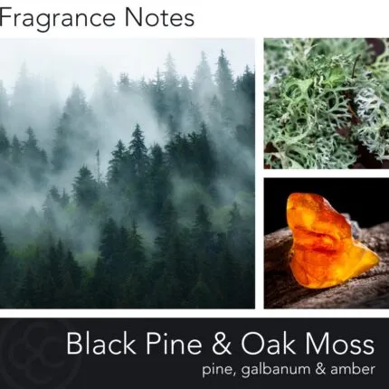 Duftkerze Black Pine & Moss - 425g – Hauptansicht