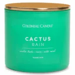 Duftkerze Cactus Rain - 411g – Produktansicht