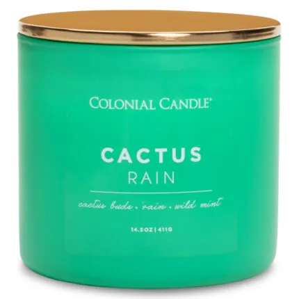 Duftkerze Cactus Rain - 411g – Produktansicht
