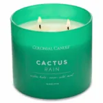 Duftkerze Cactus Rain - 411g – Produktansicht