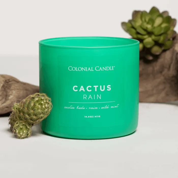 Duftkerze Cactus Rain - 411g – Produktansicht