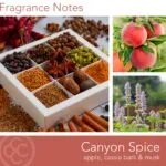 Duftkerze Canyon Spice - 411g – Hauptansicht