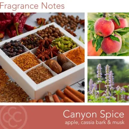Duftkerze Canyon Spice - 411g – Hauptansicht