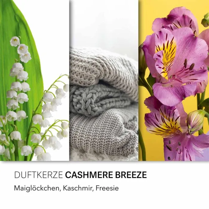 Duftkerze Cashmere Breeze - 510g – Produktansicht