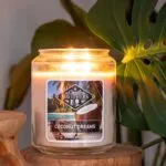 CandleBrothers-CoconutDream-Mood.jpg