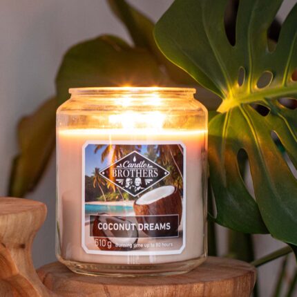 CandleBrothers-CoconutDream-Mood.jpg