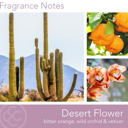 Duftkerze Desert Flower - 411g – Hauptansicht